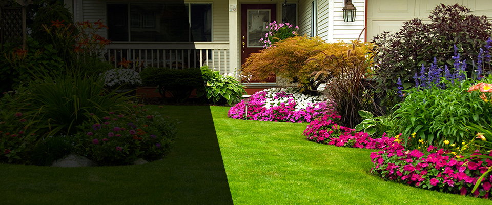 Williamston Landscapers